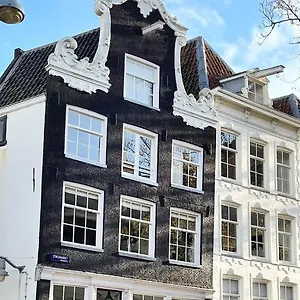 Little Tulip , Amsterdam Nederland